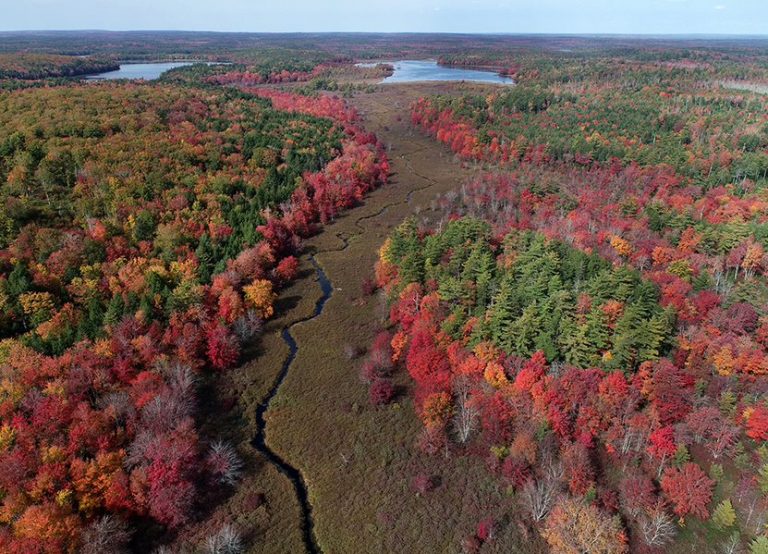 ncc-announces-upper-ohio-conservation-area-ckbw